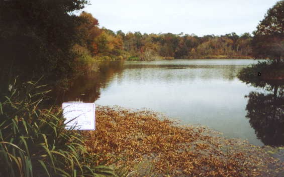 lake